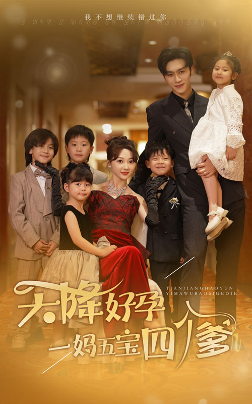 天降好孕，一妈五宝四个爹