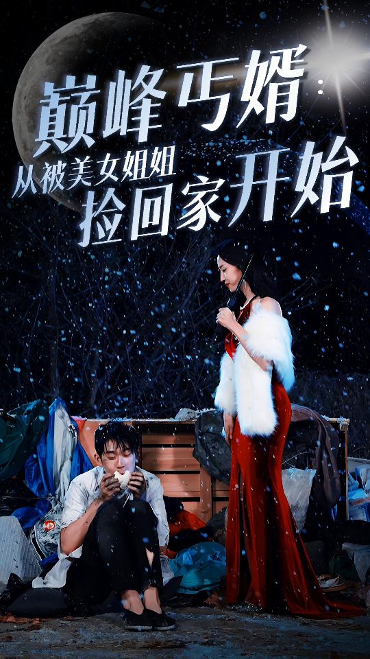 巅峰丐婿：从被美女姐姐捡回家开始