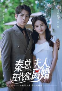 秦总，夫人在找你离婚