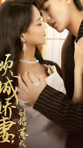 倾城娇妻，别招惹我