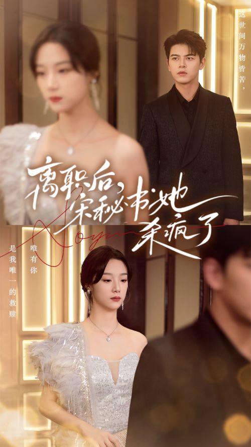 离职后，宋秘书她杀疯了