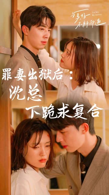 罪妻出狱后：沈总下跪求复合