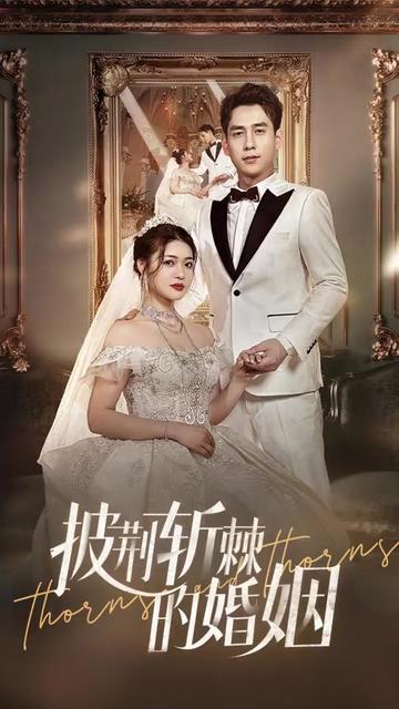 新版：披荆斩棘的婚姻