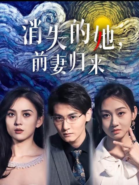 消失的她，前妻归来