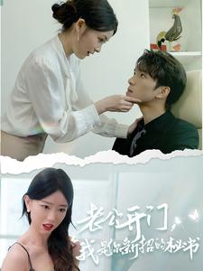 老公开门，我是你新招的秘书