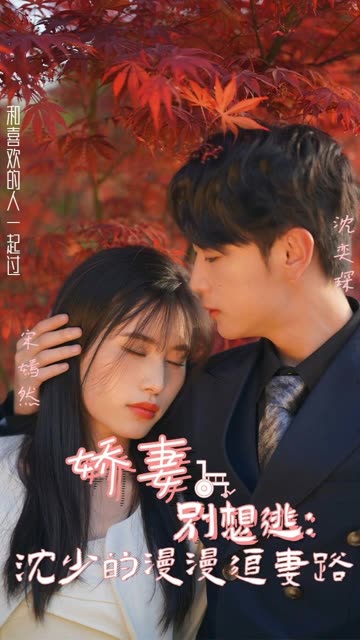 娇妻别想逃：沈少的漫漫追妻路