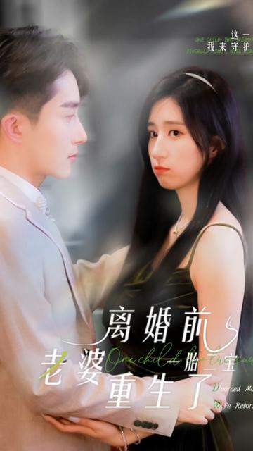 一胎二宝：离婚前老婆重生了