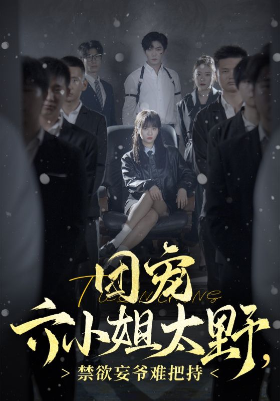 团宠六小姐太野，禁欲妄爷难把持