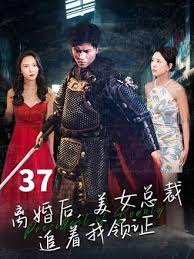 离婚后，美女总裁追着我领证