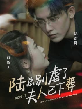 陆总别虐了，夫人已下葬