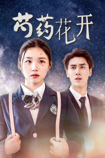 芍药花开&amp;火光中的芍药花