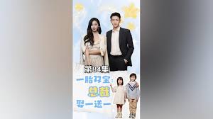 一胎双宝：总裁娶一送一