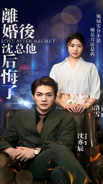 离婚后，沈总他后悔了