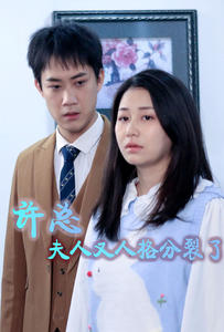 许总，夫人又人格分裂了