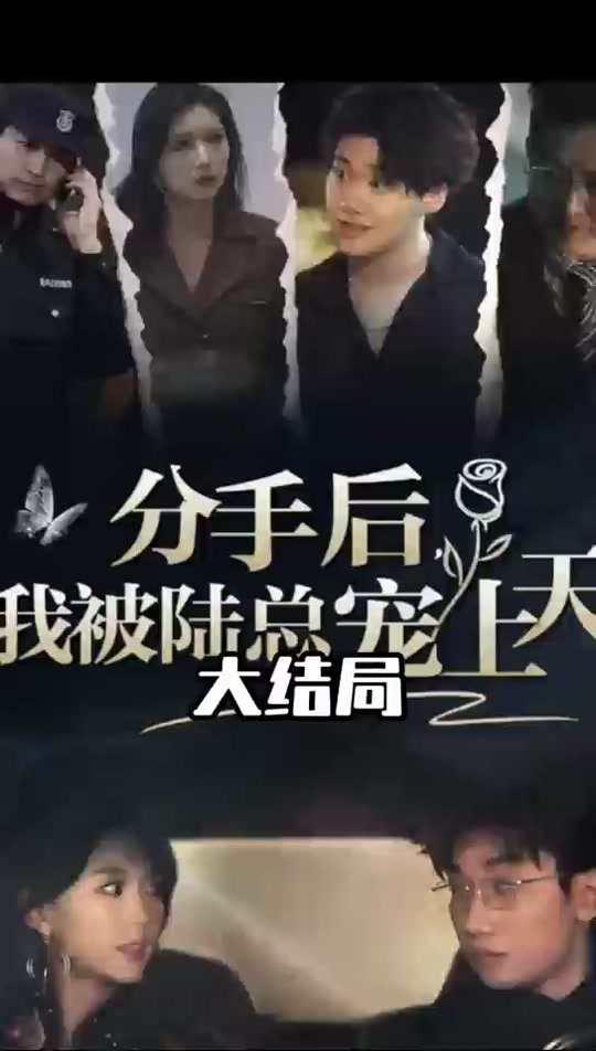 分手后，我被陆总宠上天