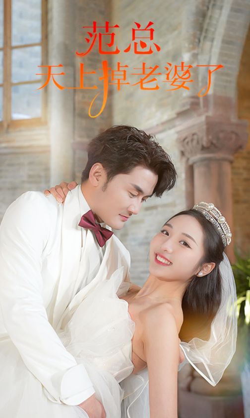 范总，天上掉老婆了