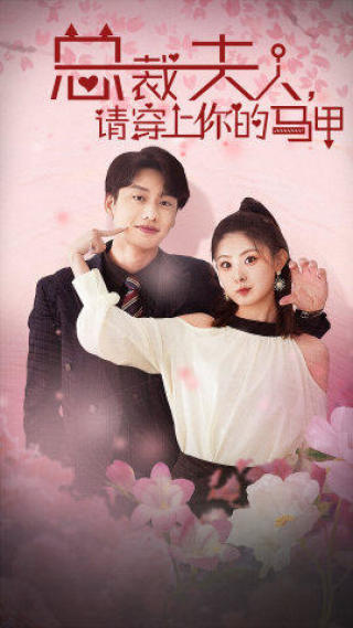 总裁夫人，请穿上你的马甲