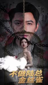 掌中玩物，不做陆总金丝雀