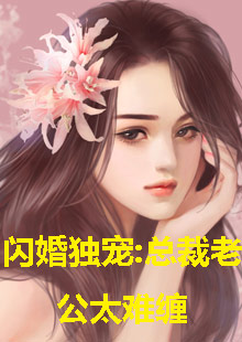 闪婚独宠，总裁老公太难缠
