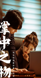 掌中之物：宋总娶娇妻可知错