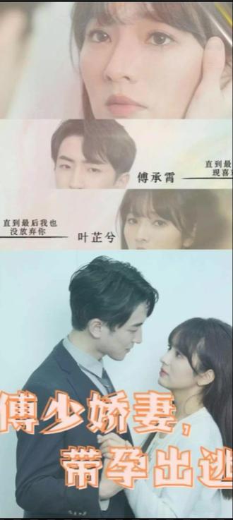 傅少娇妻，带孕出逃