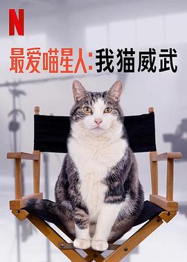 最爱喵星人：我猫威武