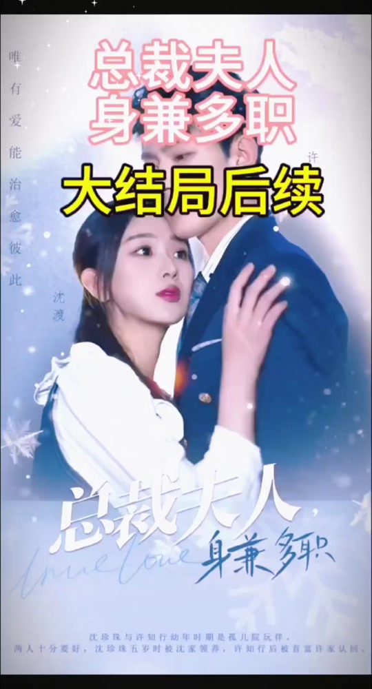 总裁夫人，身兼多职