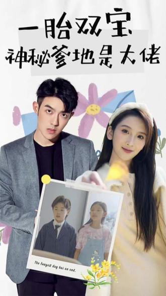新一胎双胞，神秘爹地是大佬