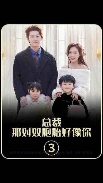 总裁，那对双胞胎好像你