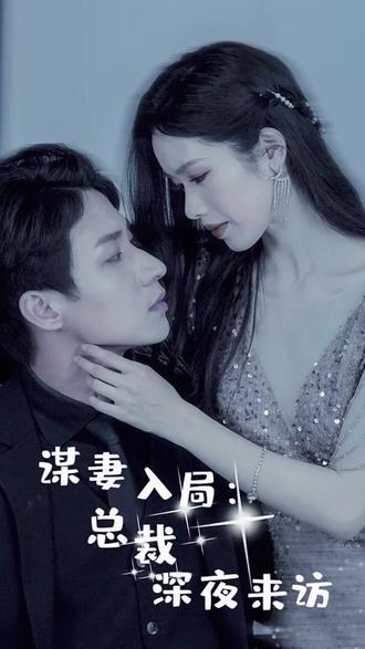 谋妻入局：总裁深夜来访