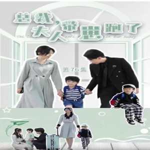 总裁，夫人带崽跑了