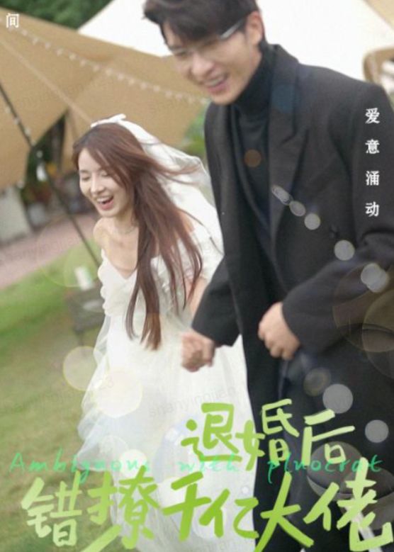 退婚后，错撩千亿大佬