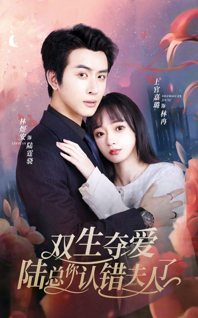 双生夺爱，陆总你认错夫人了