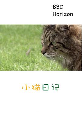 地平线系列：小猫日记