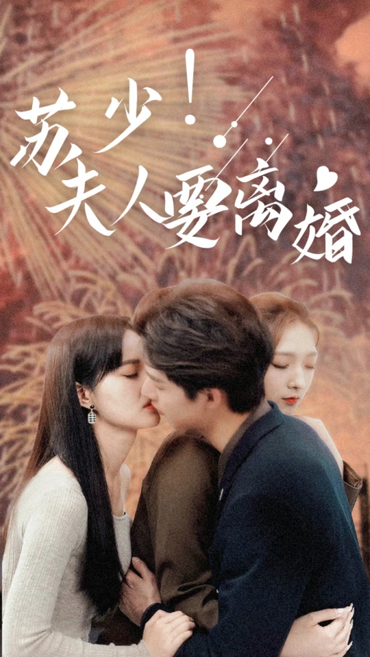 苏少！夫人要离婚