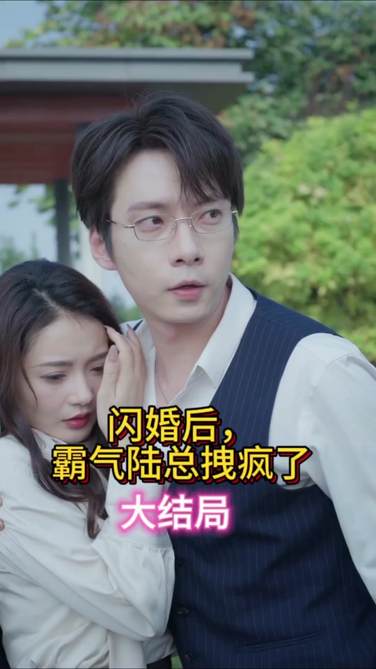 闪婚后，霸气陆总拽疯了