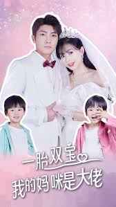 一胎双宝，我的妈咪是大佬