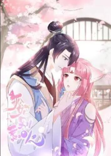 狐妃，别惹火