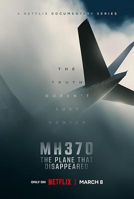 MH370：消失的航班