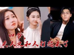 四爷，夫人又和人打起来了