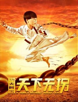 功夫阿宝：天下无拐