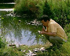 来福，来福