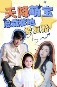 天降萌宝：总裁爹地要复婚
