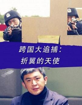 跨国大追捕：折翼的天使