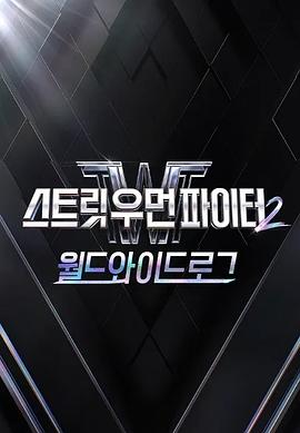 街头女斗士2：全球日志