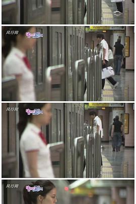 奔跑吧，鲭鱼