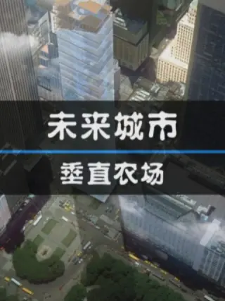 未来城市：垂直农场