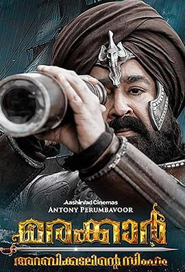 马拉喀尔：阿拉伯海狮