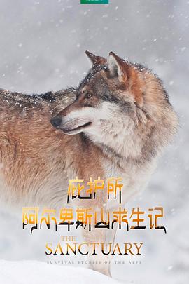 庇护所：阿尔卑斯山求生记