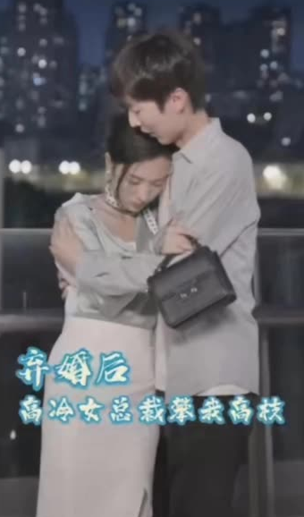 弃婚后，高冷女总裁攀我高枝